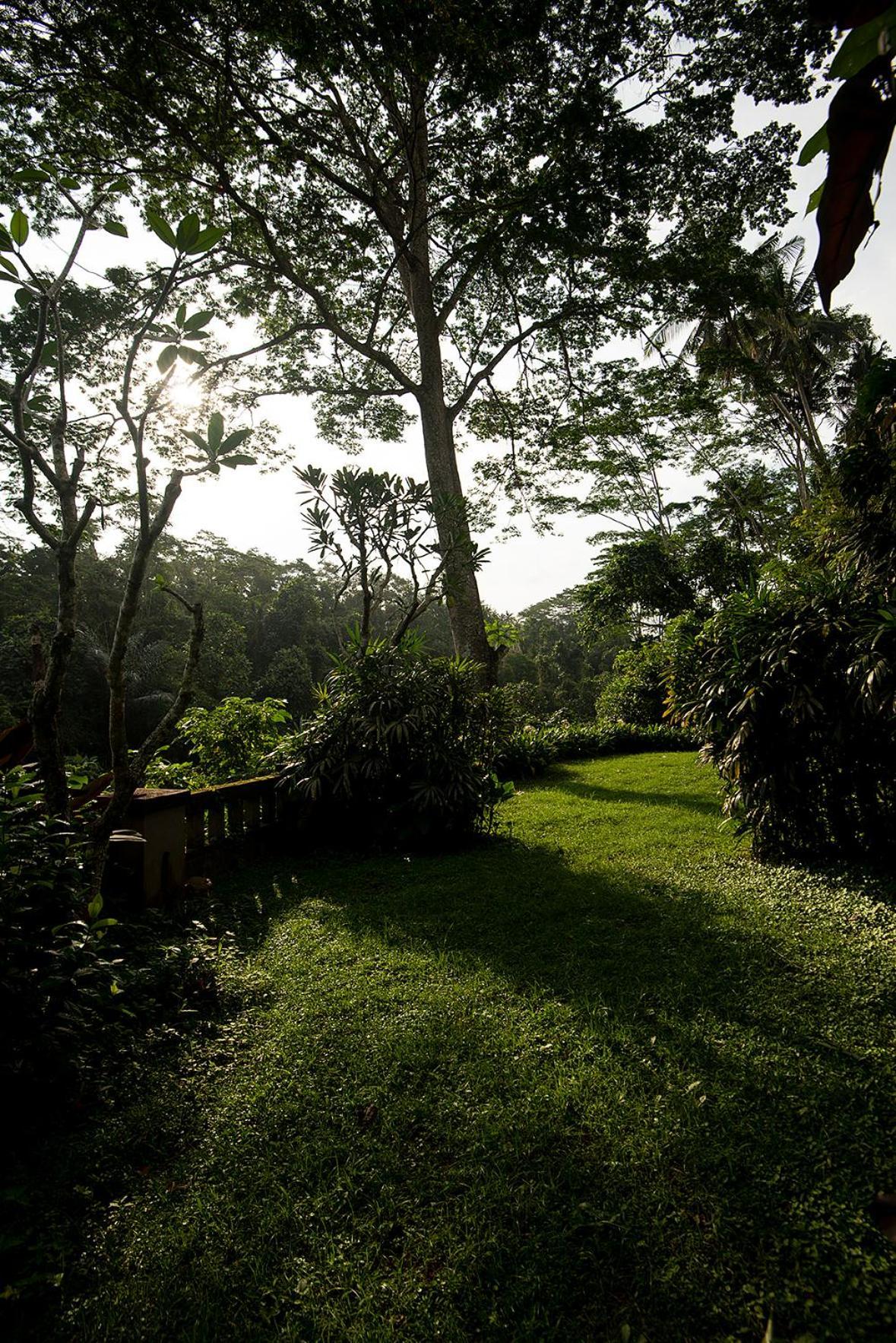 Villa Naga Putih Убуд Экстерьер фото