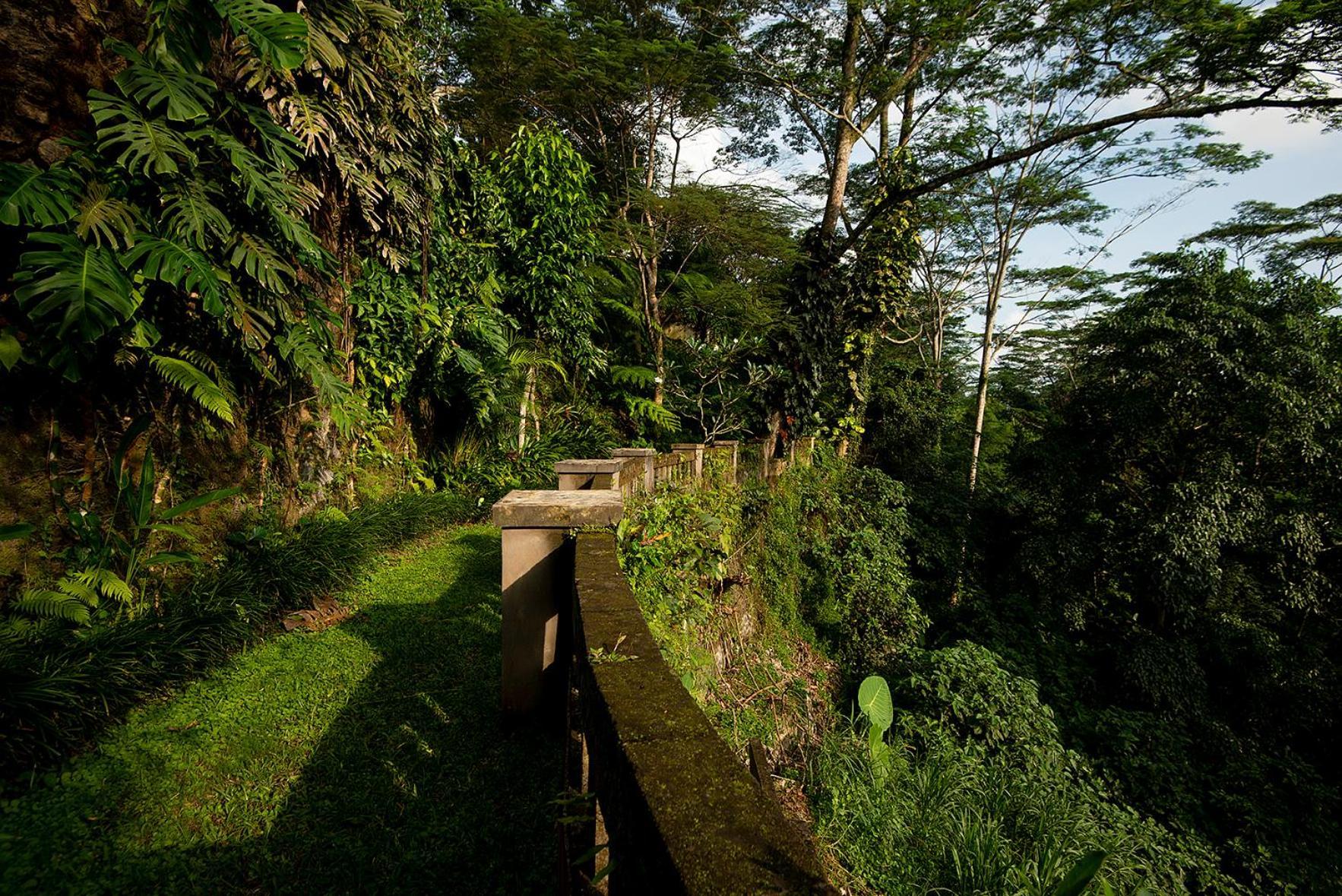 Villa Naga Putih Убуд Экстерьер фото